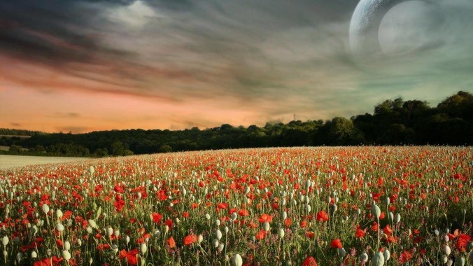 什么样的人算是中了基因***？